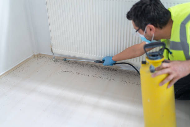 Best Pest Control Near Me  in Jones Creek, TX