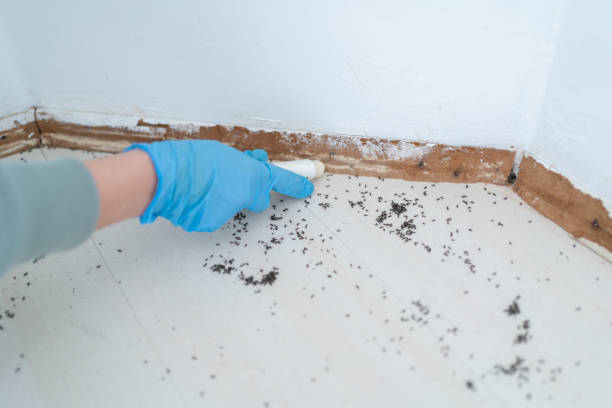 Best Pest Inspection Near Me  in Jones Creek, TX